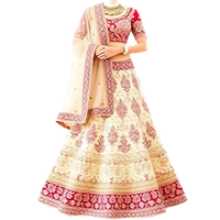sku_dry_clean_item_lehenga.png