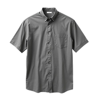 sku_dry_clean_item_shirt.png